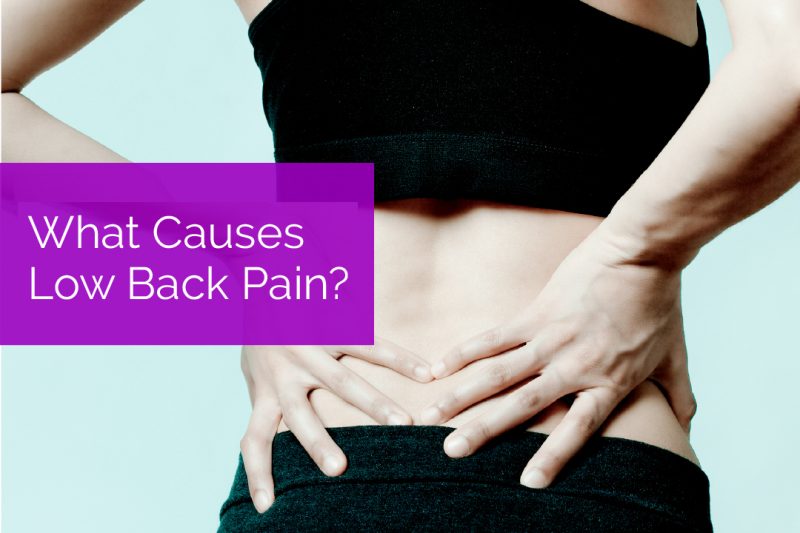 What Causes Low Back Pain?